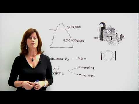 how to isolate campylobacter jejuni