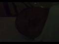 videos de Amari In The Hospital, Part 1