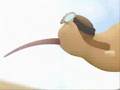 YouTube - Re:Kiwi!
