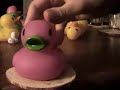 Duck Stories