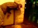 videos de Spewing competion with Joe