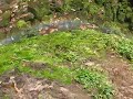 catarata de gocta 1