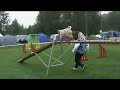Agirotu 2007 Partaradikaalit