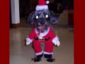 Santa Claus Is Coming To Town