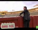 salvados por los toros 1/7