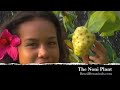 Noni Noni
