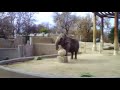 Fun Day at the Zoo