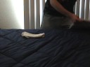escargo snail.wmv