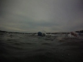 Tips for #triathlon swim start: http://youtu.be/EDwTqOVcP48