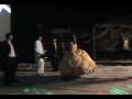 El ardilla master phx--baile sorpresa y empieza el baile en los 15 anos de magdalena----