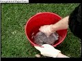 How to make Smoke Bomb
