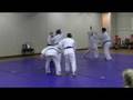 Lisa's 3rd Kyu Test - September 2008