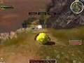 Wyścigi żuków - Guild Wars event