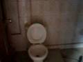 videos de Mi Casa y Mi Familia