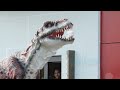 Best Pranks of 2012