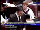 NY State Senate Democrats argue to restrict gun rights NY State Senate Democrats argue to restrict gun rights