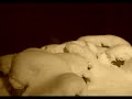 AUTHENTICATED ABOMINABLE SNOWMAN VIDEO AUTHENTICATED ABOMINABLE SNOWMAN VIDEO