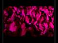 Decibel 2008 Paul Elstak.wmv
