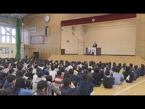 動画
