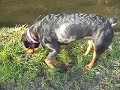 Spirit Out On A Walk