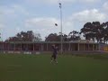 Adam Donohues Dacios