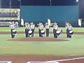leones 1.MP4