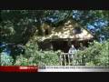 videos de Norfolk Treehouse On BBC News 24