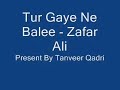 Tur Gaye Ne Balee Sanu -Zafar ALi
