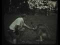Tibor Sekelj BW 01a.wmv
