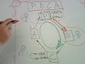 El equipo de mejora del proceso