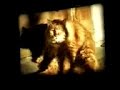 Michael Rother: Silver Sands Michael Rother: Silver Sands