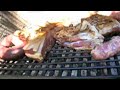 Argentinian Asado Argentinian Asado