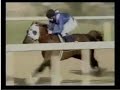 2008 Dubai Kahayla Classic - Mizzna