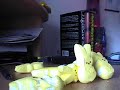 CJayC - Closing LUE? CJayC - Closing LUE?