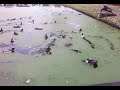 MOV_0024.3gp MOV_0024.3gp
