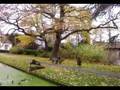 MOV_0024.3gp