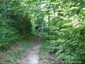 Mountainbike speed trail and jumps Mountainbike speed trail and jumps