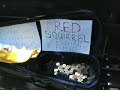 this is me busking for the ravenglass and eskdale railway preservation society's red squirrel fund to help save the red squirrels in eskdale, cumbria.  the film was shot in may 2002 and the engines and stations are decorated for the queen's jubilee.
