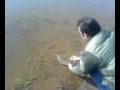 carp fish karditsa limni plastira carp fish karditsa limni plastira