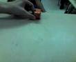videos de Transformers 2