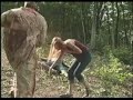 Hatework Halocaust Video