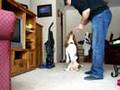 Basset Hounds aren't stupid!!!