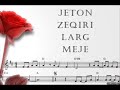 jeton-zeqiri-larg-meje.html