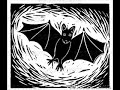 thomas fersen chauve souris