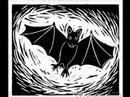 thomas fersen chauve souris