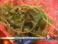 Skaneateles Lake Milfoil