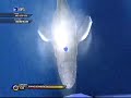 Sonic Unleashed Holaska act 1 (Xbox 360) Sonic Unleashed Holaska act 1 (Xbox 360)