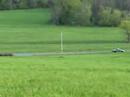 Bobolink