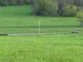 Bobolink