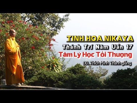 Tinh Hoa NIKAYA - Thánh Trí Năm Uẩn 17 - Tâm Lý Học Tối Thượng